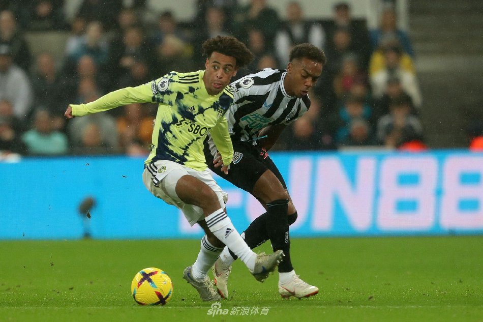 回归无疑是 回归无疑是